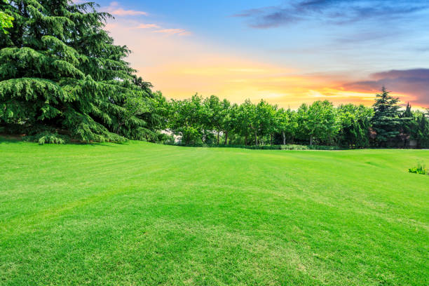 istock Green meadow and woods nature landscape 1042921064