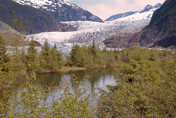 istock Mendenhall Glacier, Alaska 104292481