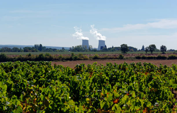 istock vineyard in the Loire valley 1042927200
