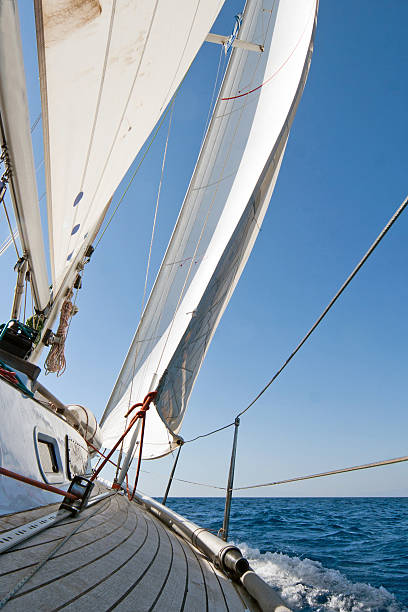 istock Sailing boat in the sea 104292835