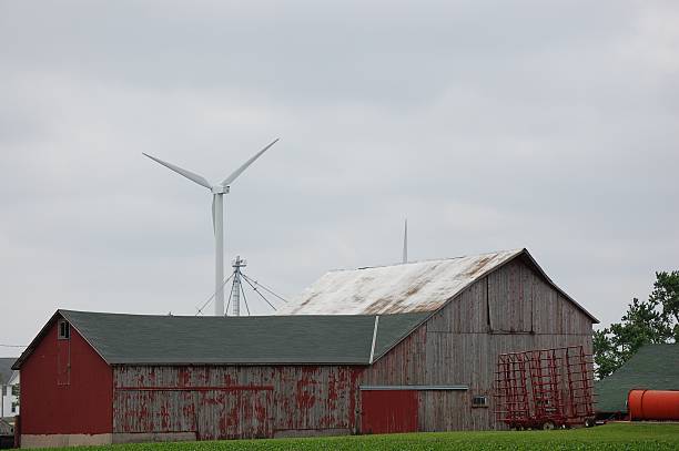 istock Old Farm, New Crop 104292930