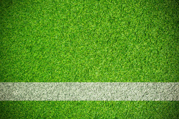 istock green grass sport field with white stripe 1042929958