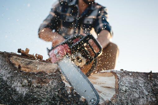 Strong lumberjack wearing plaid shirt and hat use chainsaw in sawmill. Sawdust fly apart