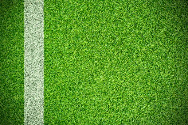 istock green grass sport field with white stripe 1042932574