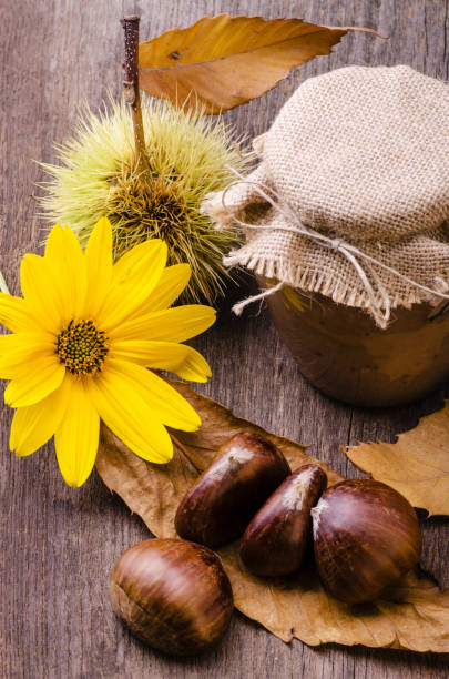 istock chestnut jam in glass jar 1042932626