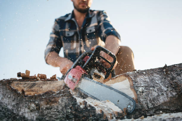 istock Bearded professional lumberjack wprker wearing plaid shirt using chainsaw for work on sawmill. Sawdust fly apart 1042932716