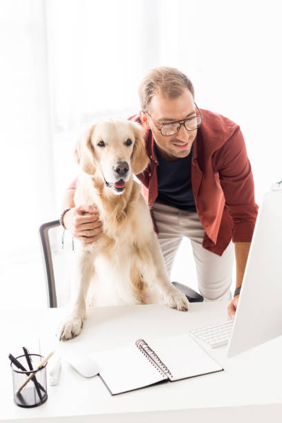 istock businessman hugging golden retriever while working in modern office 1042933060