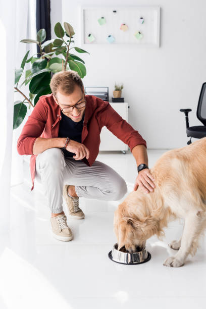 istock man feeding and stroking golden retriever dog 1042933068