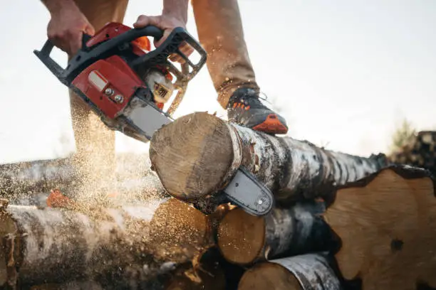 Photo of Closeup view on chainsaw in strong lumberjack worker hands. Sawdust fly apart