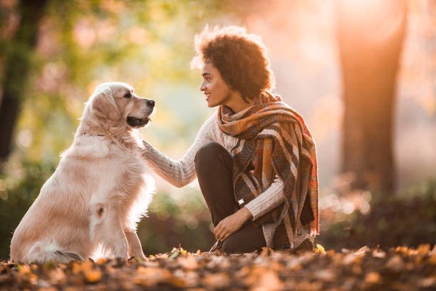 sonriente a mujer negra hablando con su perro perdiguero en día de otoño. - black labrador black dog retriever fotografías e imágenes de stock