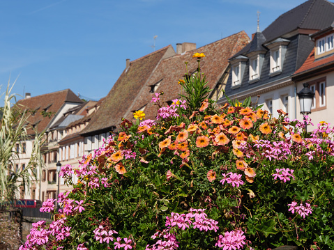 teh small City of wissembourg in france
