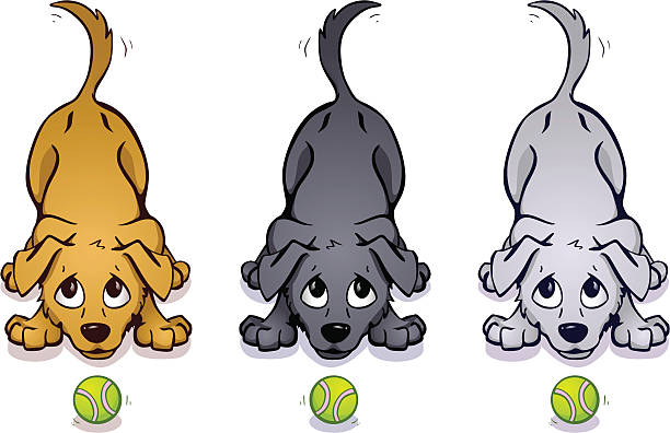 Playful Pups Stock Illustration - Download Image Now - Dog, Tail, Shaking - iStock Playful Pups Stock Illustration - Download Image Now - Dog, Tail, Shaking - iStock