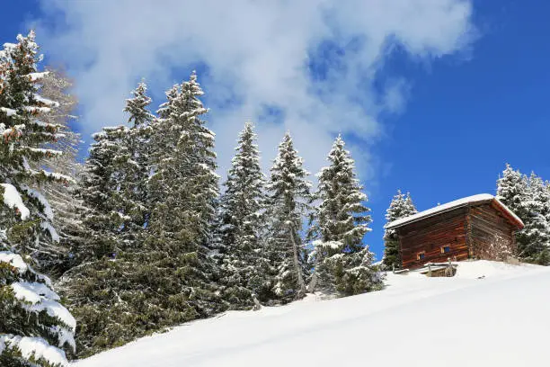 log cabin in grisons