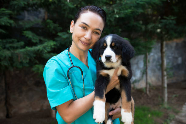 istock Animal Hospital 1042947758