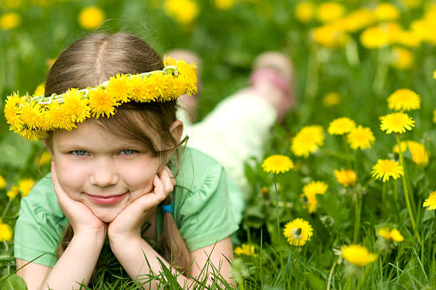 Smiling little girl in Dandelions stock photo