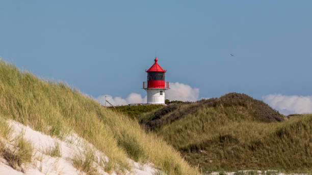 istock Quermarkenfeuer on the Island of Amrum 1042948314