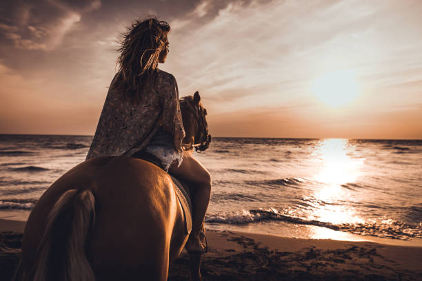 istock Horseback riding on the beach at sunset! 1042948316