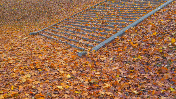 istock Stairs in a Park covered with autumn leaves. 1042948648