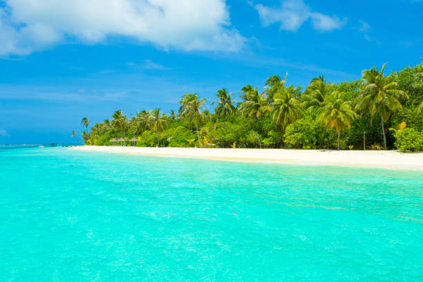 istock Beautiful sandy beach in uninhabited island 1042948808