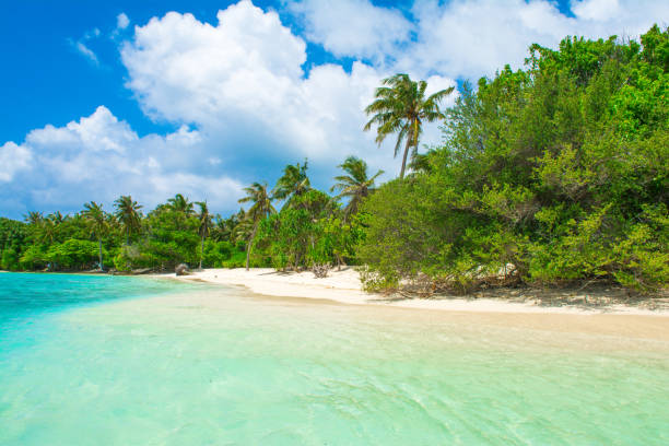istock Beautiful sandy beach in uninhabited island 1042951134