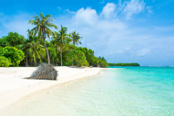 istock Beautiful sandy beach in uninhabited island 1042951136