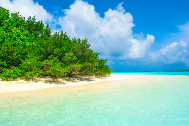 istock Beautiful sandy beach in uninhabited island 1042951140