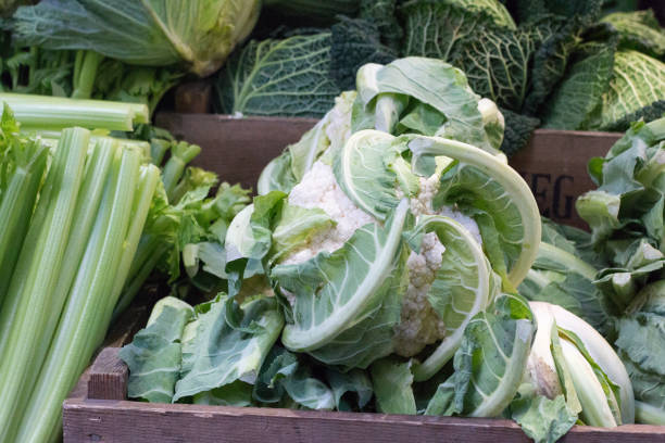Lettuce in Borough Market, London