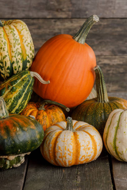 istock Pumpkins on wooden background 1042951866