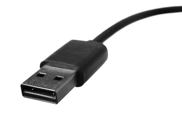 istock The connector of the USB cable is close-up. 1042951890