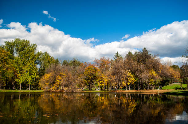istock Beautiful autumn park 1042952156