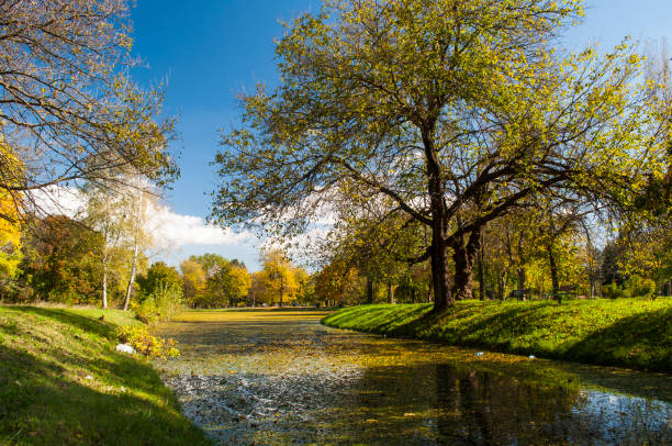 istock Beautiful autumn park 1042952240