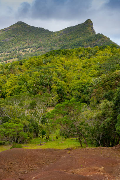 istock Seven coloured earth of Chamarel with forest and mountain in background. 1042961142