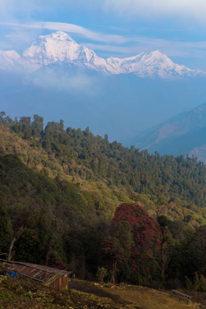 istock Dhaulagiri from Ghorepani 1042961654