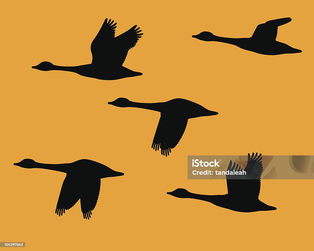 Silhouette flock of geese  Canada Goose stock vector