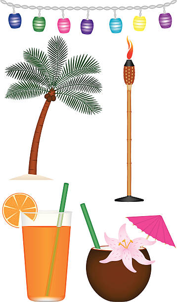열대 컬레션 - coconut drink cocktail umbrella stock illustrations