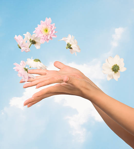 istock women hands and flowers 104297475