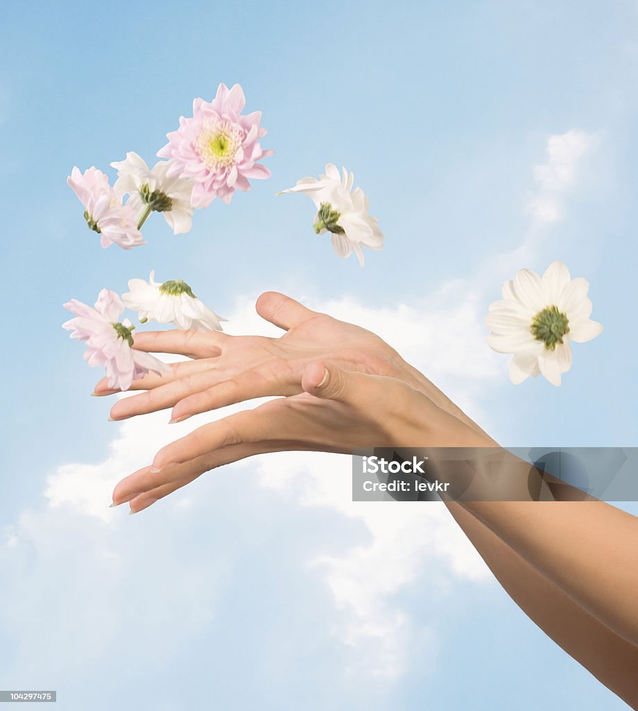 women hands and flowers  Adult Stock Photo