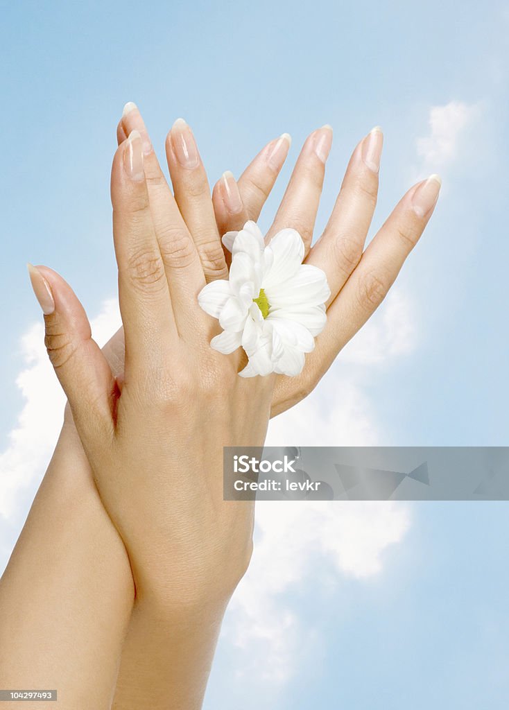 image of beautiful nails and woman fingers  Adult Stock Photo