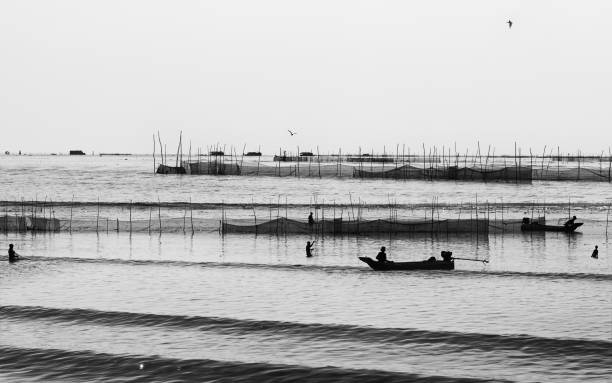 Silhouette of Unknown man catches fish in water.
