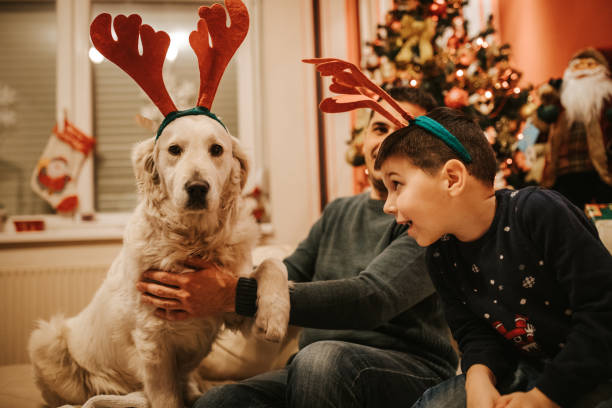 istock Happy family on Christmas 1042979788