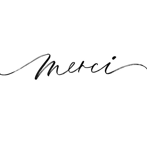 Thank you card. Merci phrase handwritten with a calligraphic brush. Thank you in French. Ink illustration. Modern brush calligraphy. Isolated on white background. thank you phrase stock illustrations