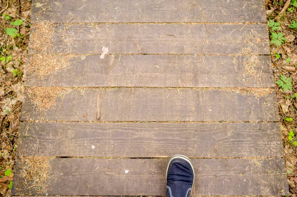istock Man walks along an ecological path made of boards, in the forest. 1043003390