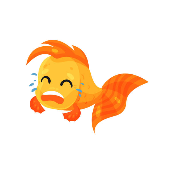 Cute Goldfish Crying Funny Fish Cartoon Character Vector Illustration On A  White Background Stock Illustration - Download Image Now - iStock