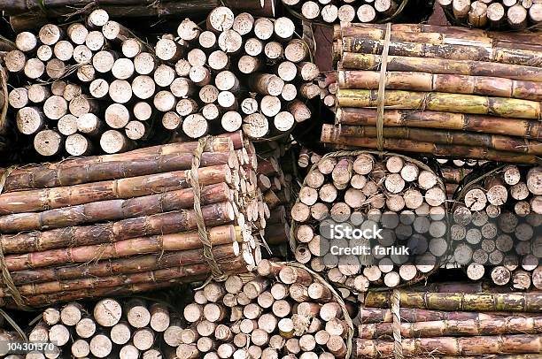 Açúcar Muletas 2 - Fotografias de stock e mais imagens de Cana-de-açúcar - Cana-de-açúcar, Abstrato, Agricultura