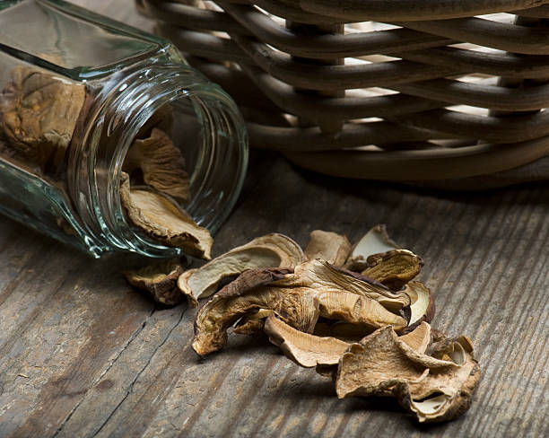 istock Porcini Mushrooms 104301441
