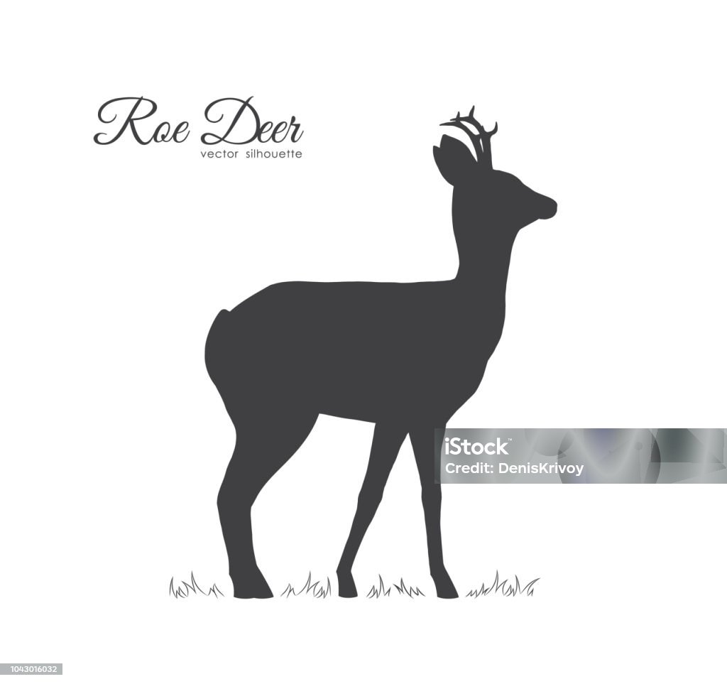 Vector illustration: Black silhouette of Roe Deer isolated on white background. Vector illustration: Black silhouette of Roe Deer isolated on white background Roe Deer stock vector