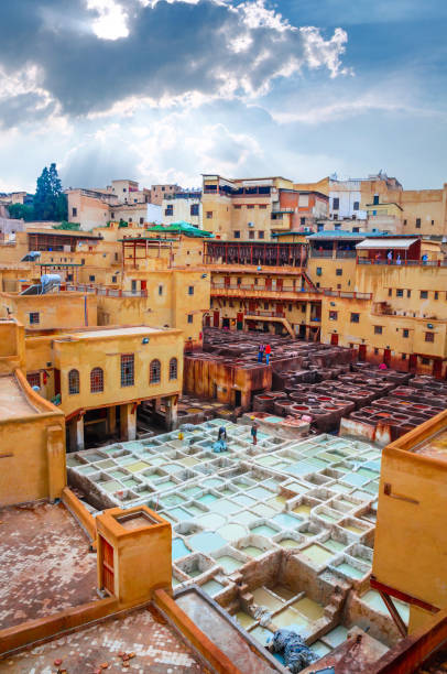 tradicional curtume na antiga medina de fez, marrocos - moroccan tannery - fotografias e filmes do acervo