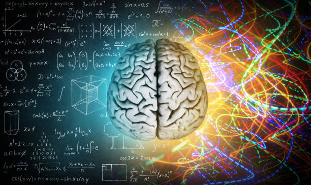 istock The concept of the human brain. 1043032980