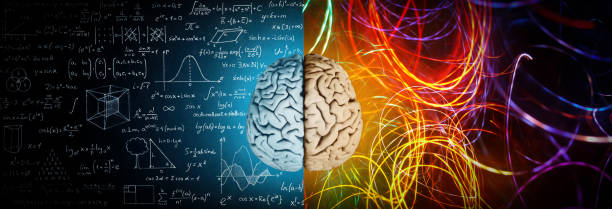 istock The concept of the human brain. 1043032986