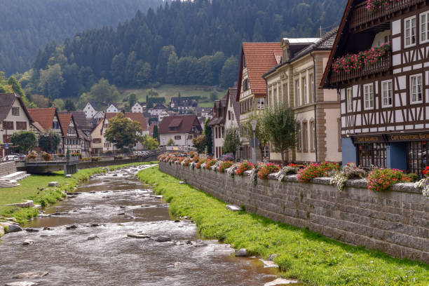 istock Schiltach small town in the Black Forest 1043033058